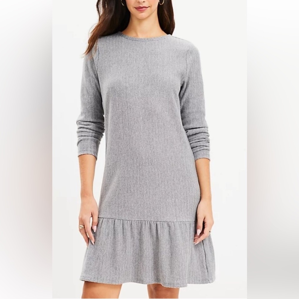 Loft Women’s Herringbone Flounce drop waist long sleeve Mini Dress Size Medium